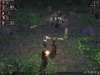 Dungeon-Siege-legends-of-aranna-combat