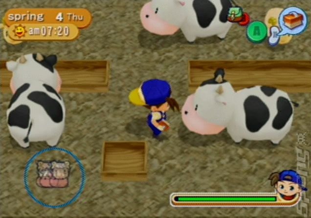 how to make easy money on harvest moon magical melody