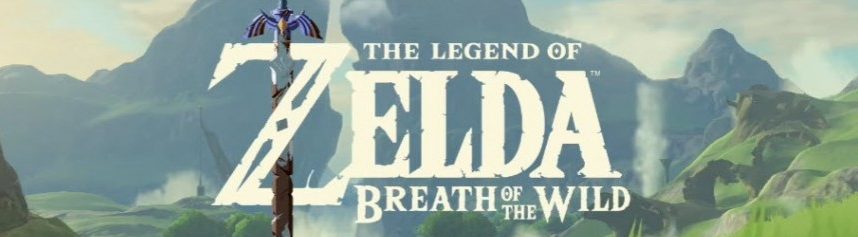 zelda breath of the wild runes