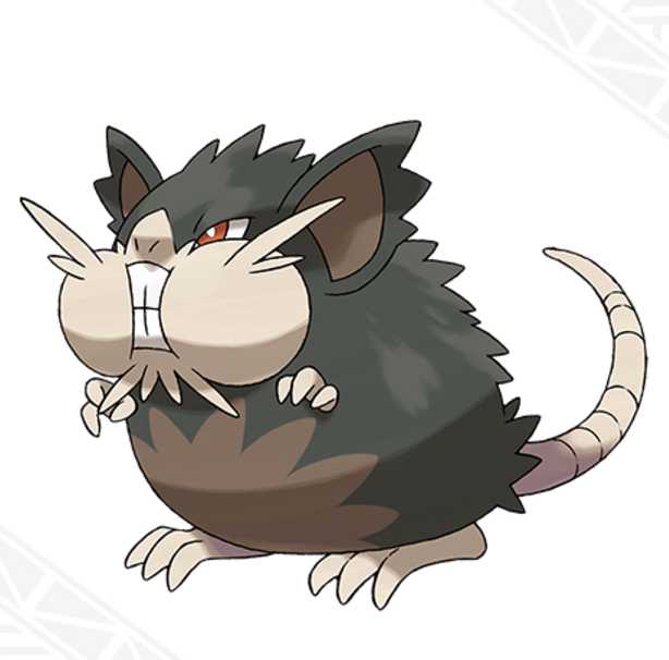 pokemon sun -Alolan-Raticate