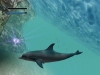 ecco-the-dolphin-gameplay3