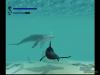 ecco-the-dolphin-gameplay7